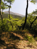p017.jpg
