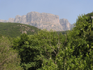 p041.jpg