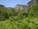 p042.jpg
