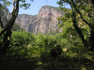 p046.jpg