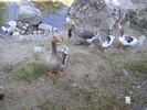 p079.jpg