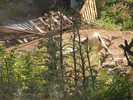 p091.jpg