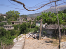 p006.jpg