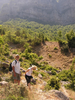 p013.jpg