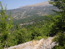 p015.jpg