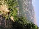 p017.jpg