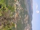 p020.jpg