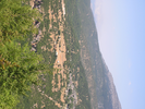 p022.jpg