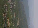 p036.jpg