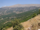 p039.jpg
