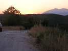 p082.jpg