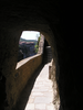 p013.jpg