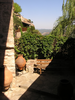 p016.jpg