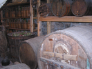 p017.jpg