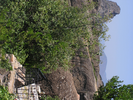 p095.jpg