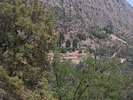 p029.jpg