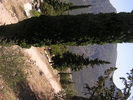 p059.jpg