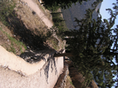 p067.jpg