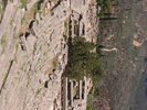 p085.jpg
