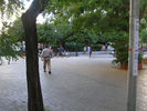 p117.jpg