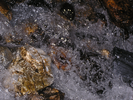 p34.jpg