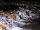 p36.jpg