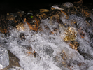 p37.jpg