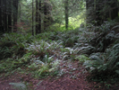 p008.jpg