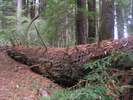 p012.jpg