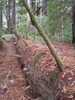 p016.jpg