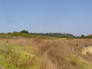 p086.jpg