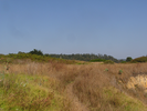 p091.jpg