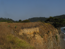 p098.jpg