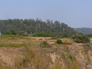 p129.jpg