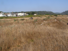 p139.jpg