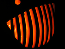 p157.jpg