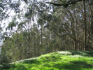 p12.jpg
