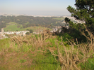 p1.jpg