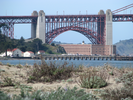 p002.jpg