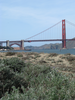 p003.jpg