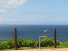 p07.jpg