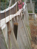 p49.jpg