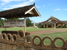 p54.jpg