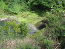 p13.jpg