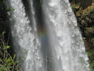 p16.jpg