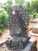 p46.jpg