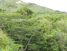 p1.jpg