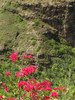 p05.jpg