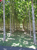 p02.jpg