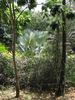 p06.jpg